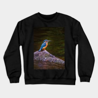 Kingfisher Crewneck Sweatshirt